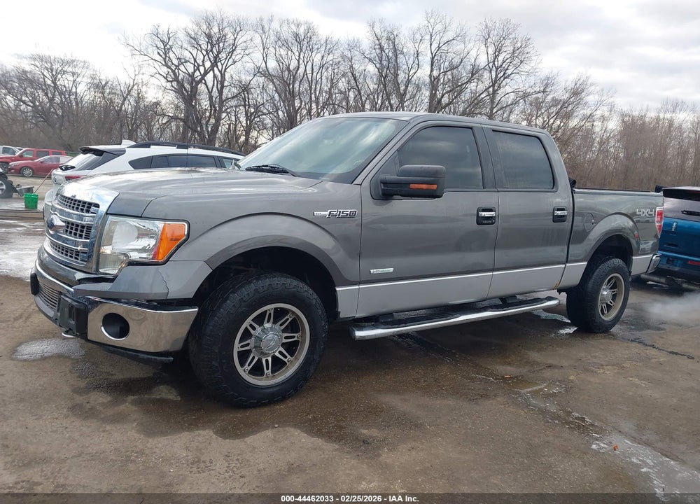 2013 FORD F-150 XLT VIN: 1FTFW1ET3DFB98416