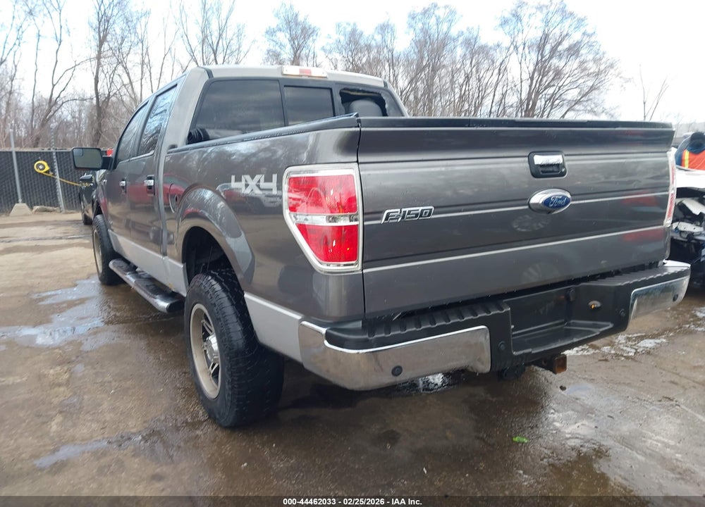 2013 FORD F-150 XLT VIN: 1FTFW1ET3DFB98416
