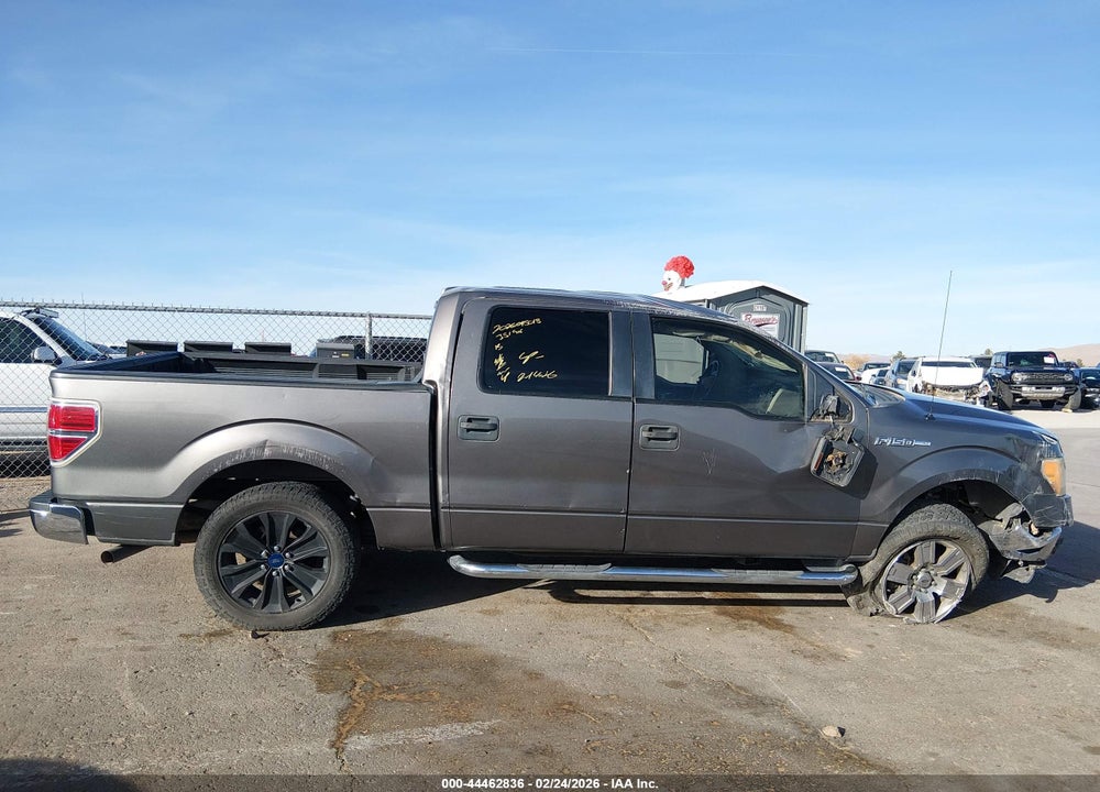 2014 FORD F-150 XLT VIN: 1FTFW1CF0EFC71899