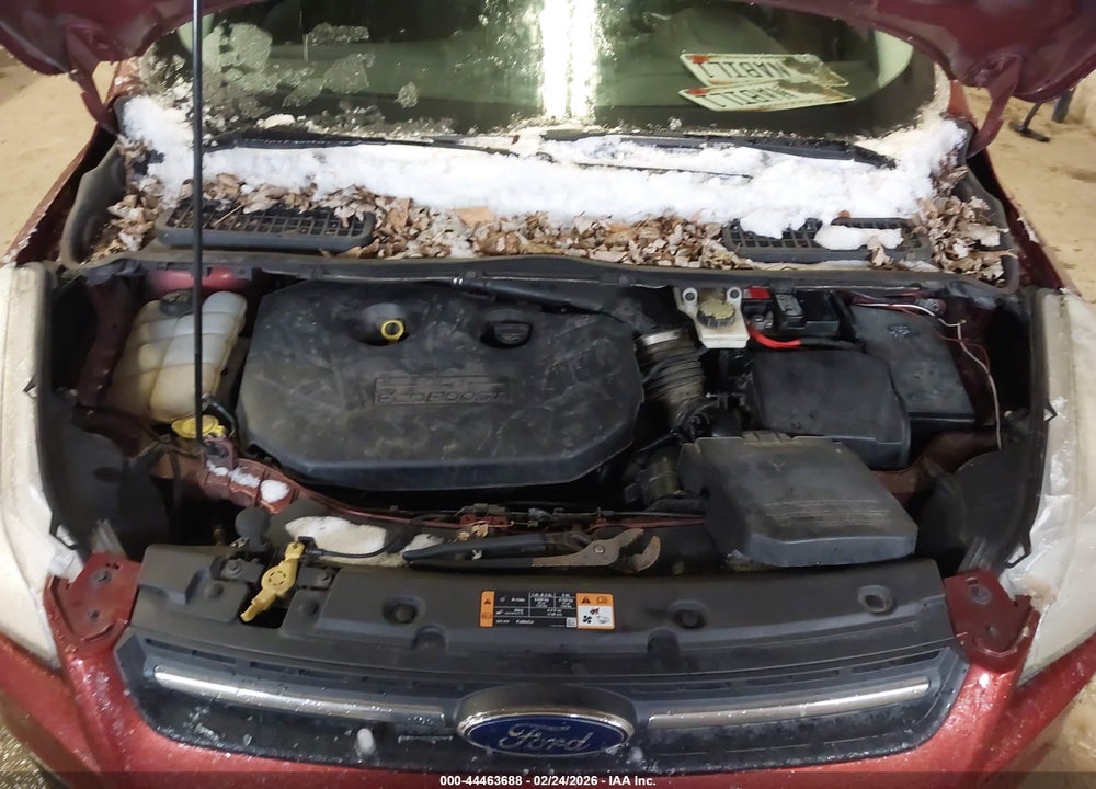 2014 FORD ESCAPE SE VIN: 1FMCU0G97EUB23618