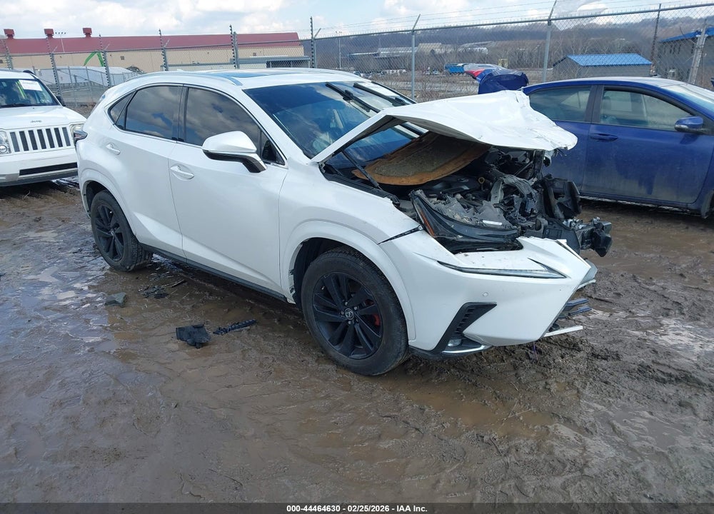 2019 LEXUS NX 300 VIN: JTJBARBZ4K2183378