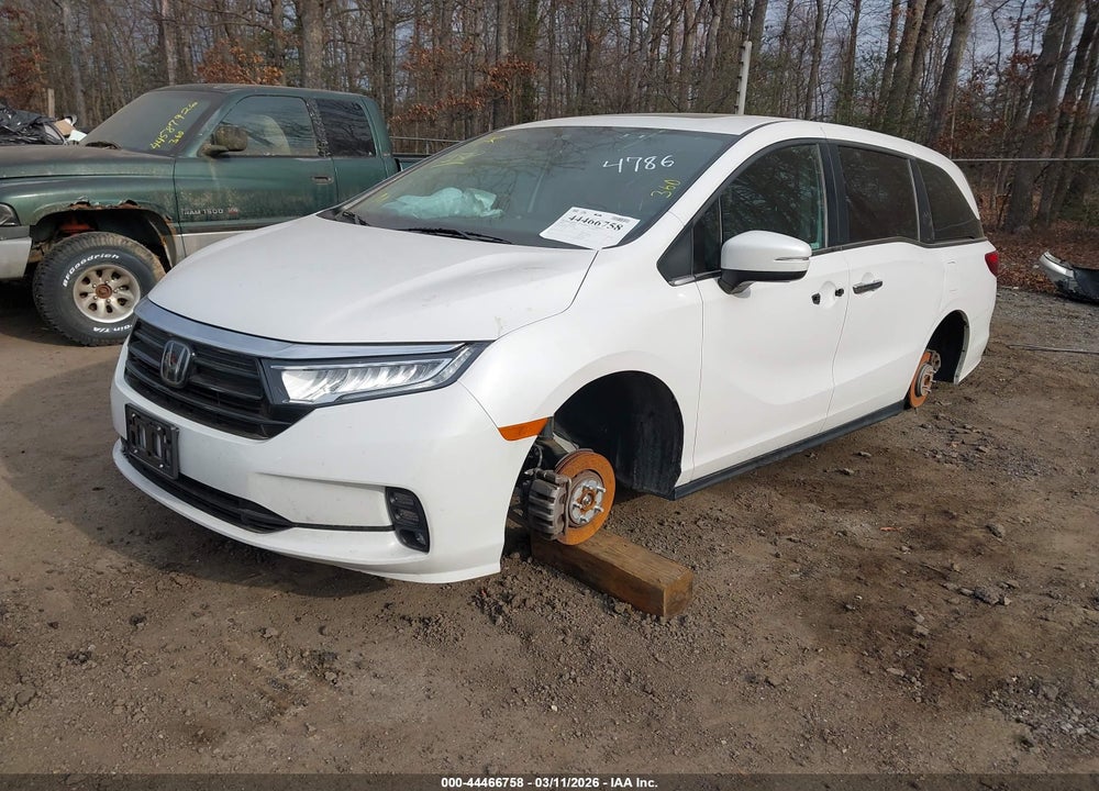 2023 HONDA ODYSSEY EX-L VIN: 5FNRL6H63PB014786