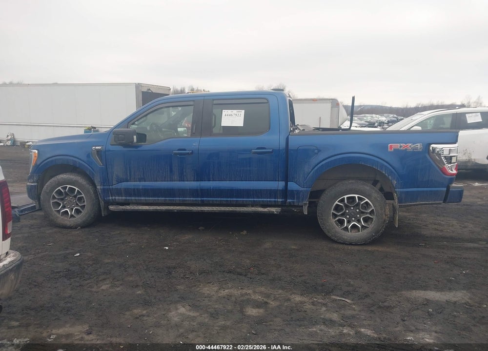 2023 FORD F-150 XLT VIN: 1FTEW1EP3PKE09396
