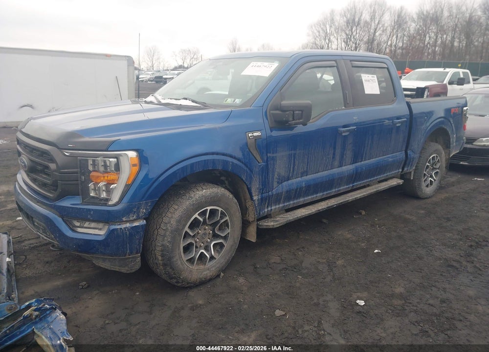 2023 FORD F-150 XLT VIN: 1FTEW1EP3PKE09396