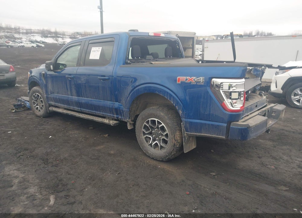 2023 FORD F-150 XLT VIN: 1FTEW1EP3PKE09396