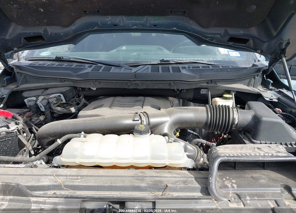 2023 FORD F-150 XLT VIN: 1FTFW1E80PKD20835