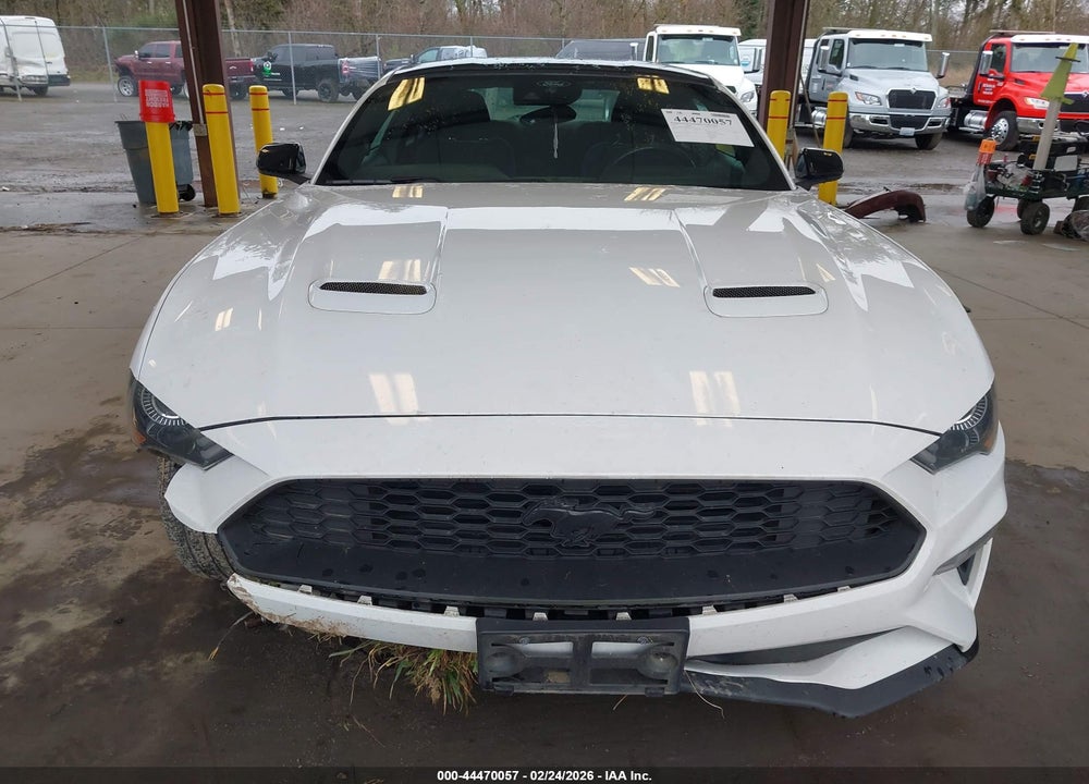 2021 FORD MUSTANG ECOBOOST FASTBACK VIN: 1FA6P8TH8M5147350