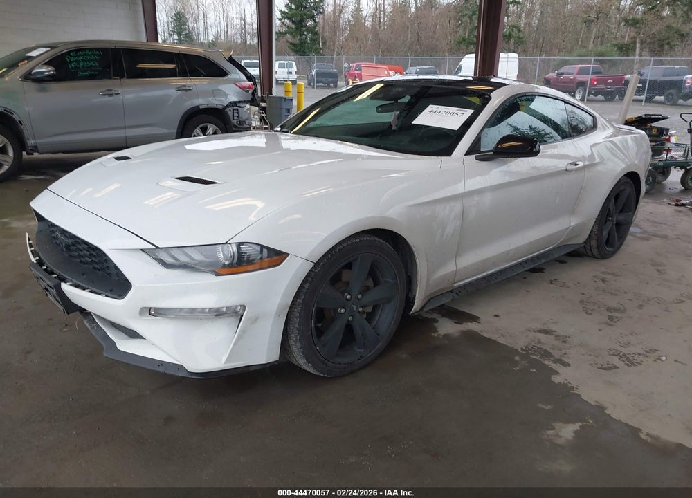 2021 FORD MUSTANG ECOBOOST FASTBACK VIN: 1FA6P8TH8M5147350