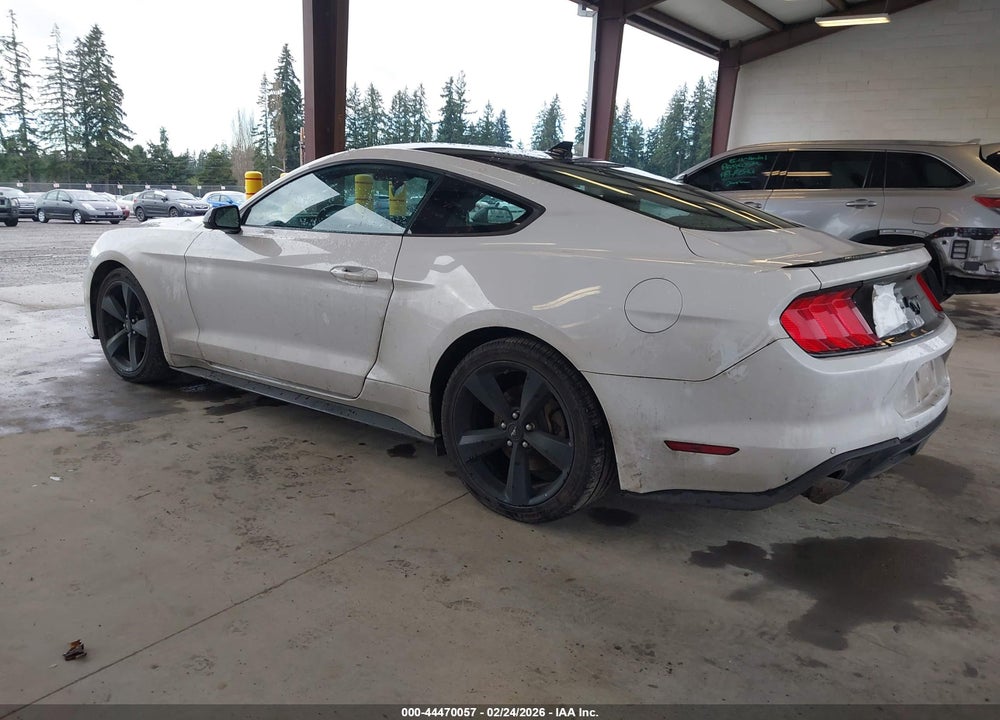 2021 FORD MUSTANG ECOBOOST FASTBACK VIN: 1FA6P8TH8M5147350