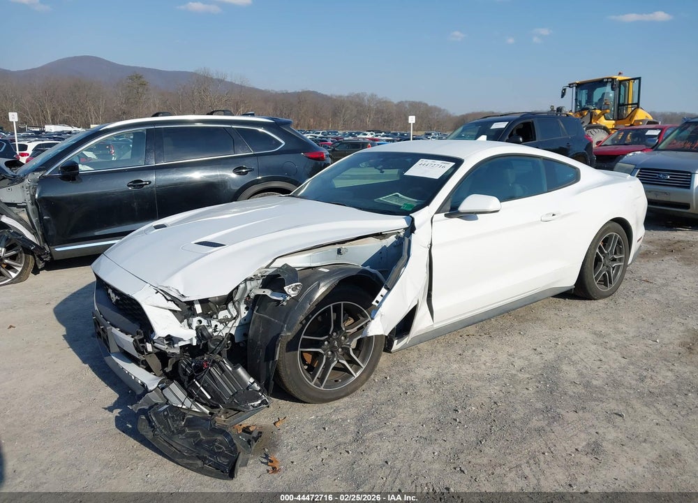 2020 FORD MUSTANG ECOBOOST FASTBACK VIN: 1FA6P8TH4L5191196