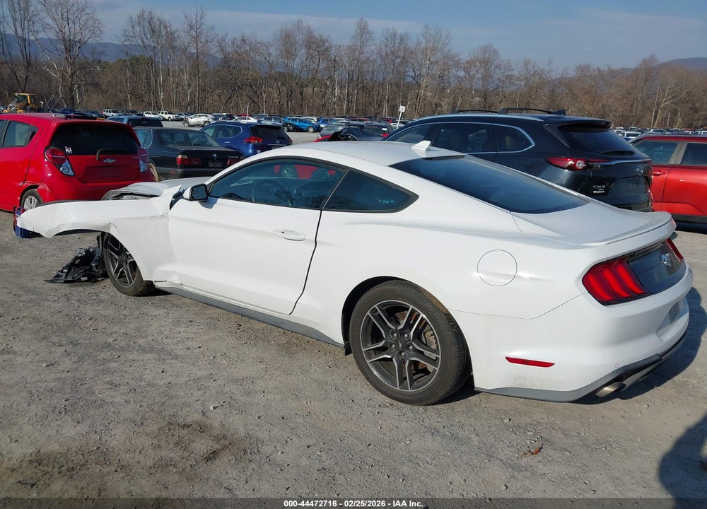 2020 FORD MUSTANG ECOBOOST FASTBACK VIN: 1FA6P8TH4L5191196