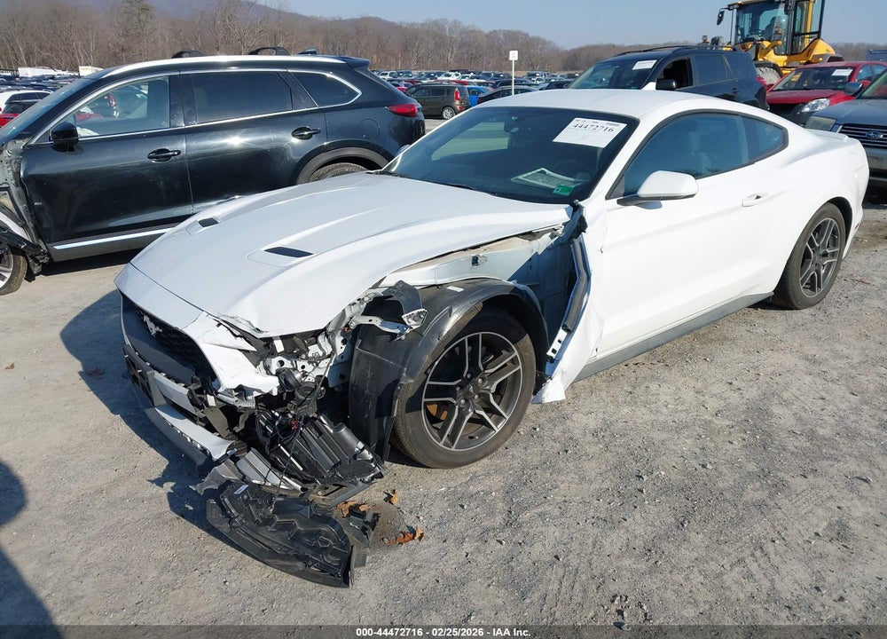 2020 FORD MUSTANG ECOBOOST FASTBACK VIN: 1FA6P8TH4L5191196