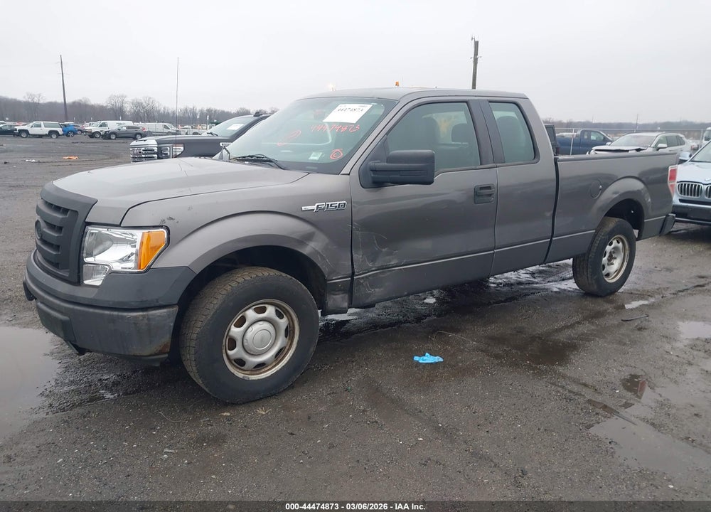 2011 FORD F-150 XL VIN: 1FTEX1CMXBFA74712