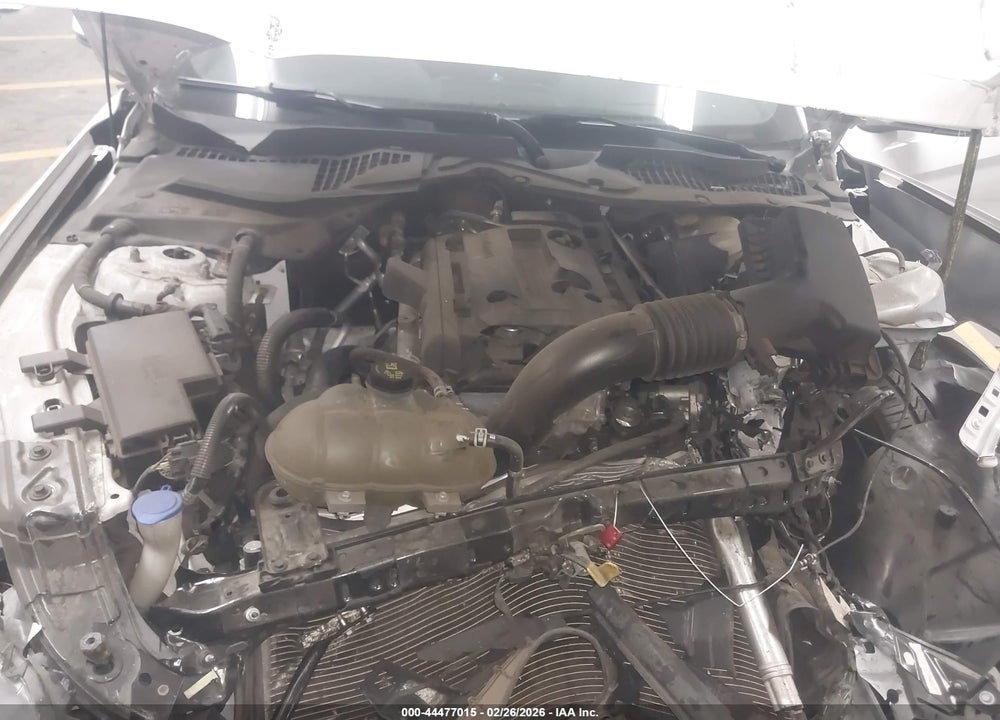 2020 FORD MUSTANG ECOBOOST FASTBACK VIN: 1FA6P8TH9L5130734