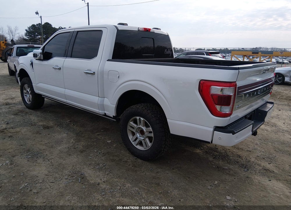 2021 FORD F-150 PLATINUM VIN: 1FTFW1E51MFA65834