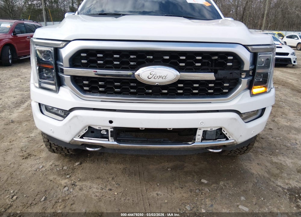 2021 FORD F-150 PLATINUM VIN: 1FTFW1E51MFA65834