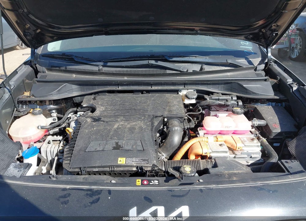 2022 KIA NIRO LXS VIN: KNDCB3LC4N5548351
