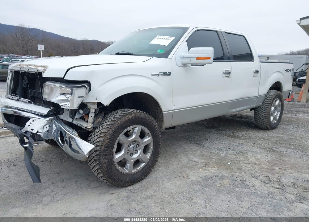 2013 FORD F-150 XLT VIN: 1FTFW1EF3DFB80122