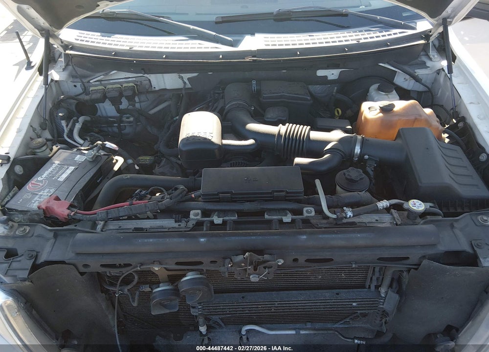 2010 FORD F-150 FX2 SPORT/HARLEY-DAVIDSON/KING RANCH/LARIAT/PLATINUM/XL/XLT VIN: 1FTFW1CV8AFA62847