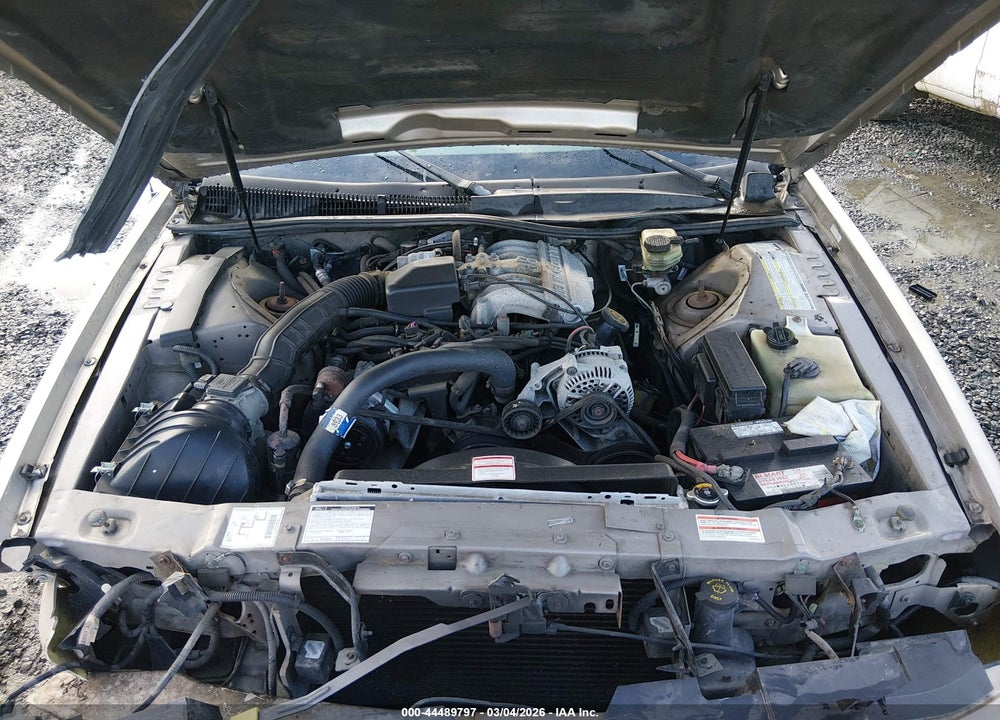 1997 FORD THUNDERBIRD LX VIN: 1FALP6247VH149211