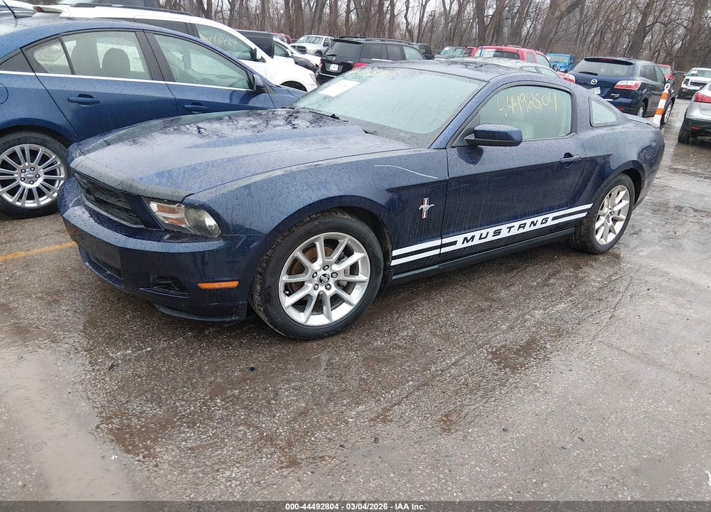 2010 FORD MUSTANG V6/V6 PREMIUM VIN: 1ZVBP8AN5A5155674