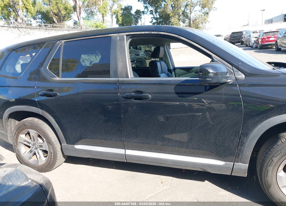 2024 HONDA PILOT EX-L 7 PASSENGER VIN: 5FNYG2H57RB015751