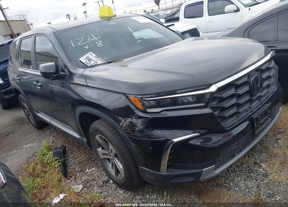 2024 HONDA PILOT EX-L 7 PASSENGER VIN: 5FNYG2H57RB015751