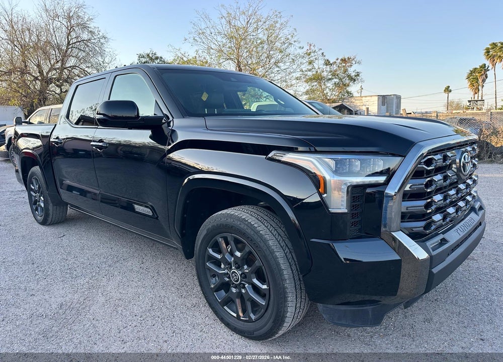 2022 TOYOTA TUNDRA PLATINUM VIN: 5TFNA5DB8NX027893