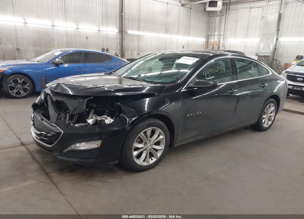 2019 CHEVROLET MALIBU LT VIN: 1G1ZD5ST7KF162166