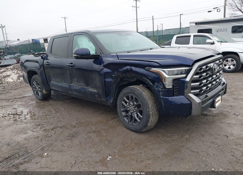 2022 TOYOTA TUNDRA PLATINUM VIN: 5TFNA5DB1NX026911
