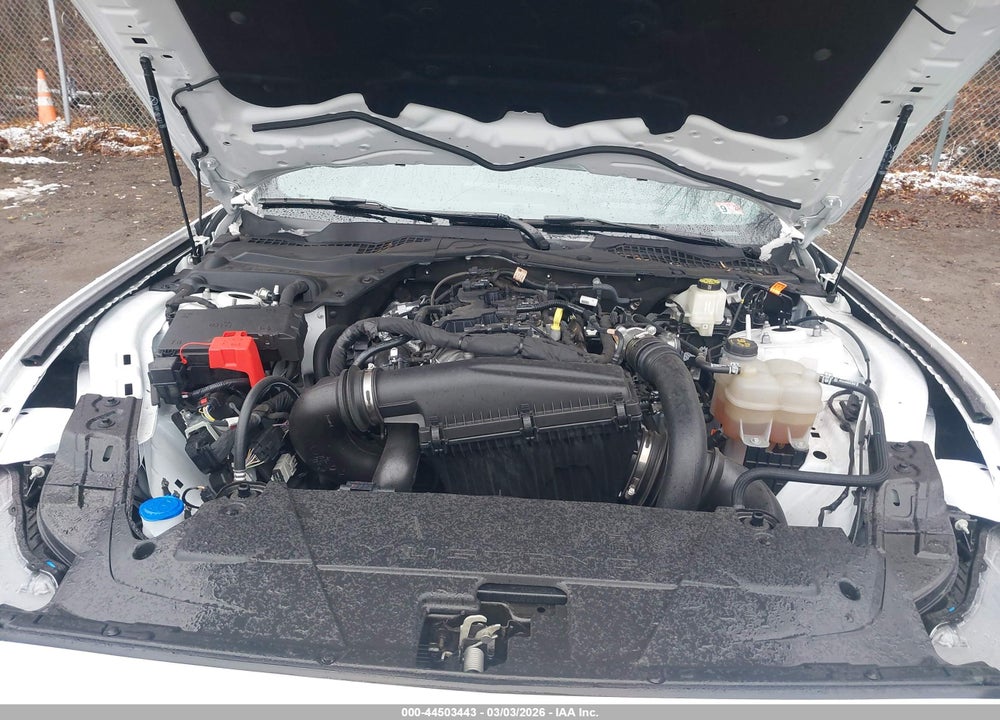 2024 FORD MUSTANG ECOBOOST FASTBACK VIN: 1FA6P8TH3R5110410