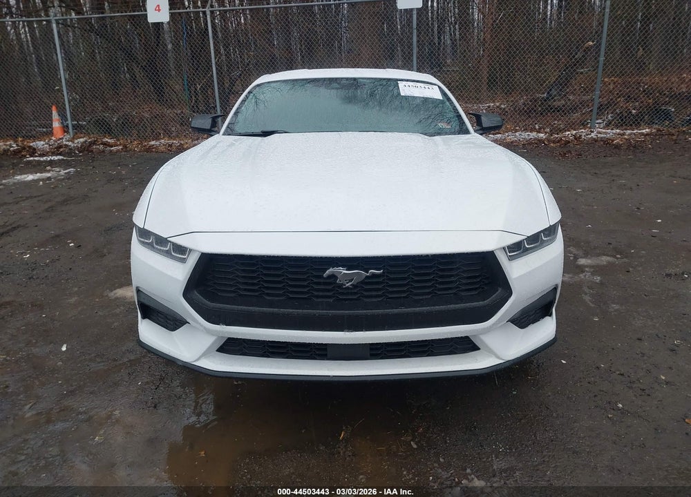 2024 FORD MUSTANG ECOBOOST FASTBACK VIN: 1FA6P8TH3R5110410