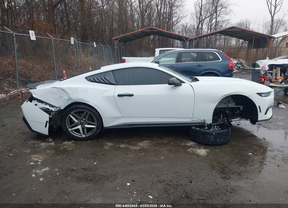 2024 FORD MUSTANG ECOBOOST FASTBACK VIN: 1FA6P8TH3R5110410