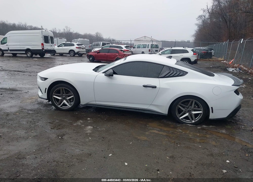 2024 FORD MUSTANG ECOBOOST FASTBACK VIN: 1FA6P8TH3R5110410