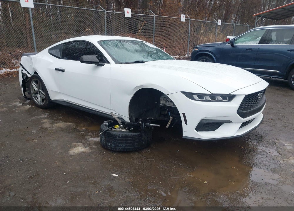 2024 FORD MUSTANG ECOBOOST FASTBACK VIN: 1FA6P8TH3R5110410