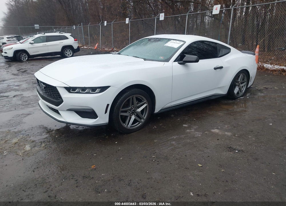 2024 FORD MUSTANG ECOBOOST FASTBACK VIN: 1FA6P8TH3R5110410