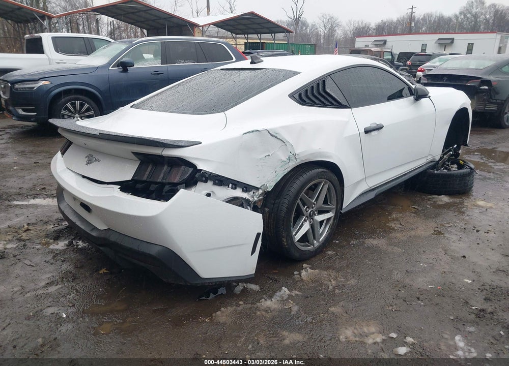 2024 FORD MUSTANG ECOBOOST FASTBACK VIN: 1FA6P8TH3R5110410