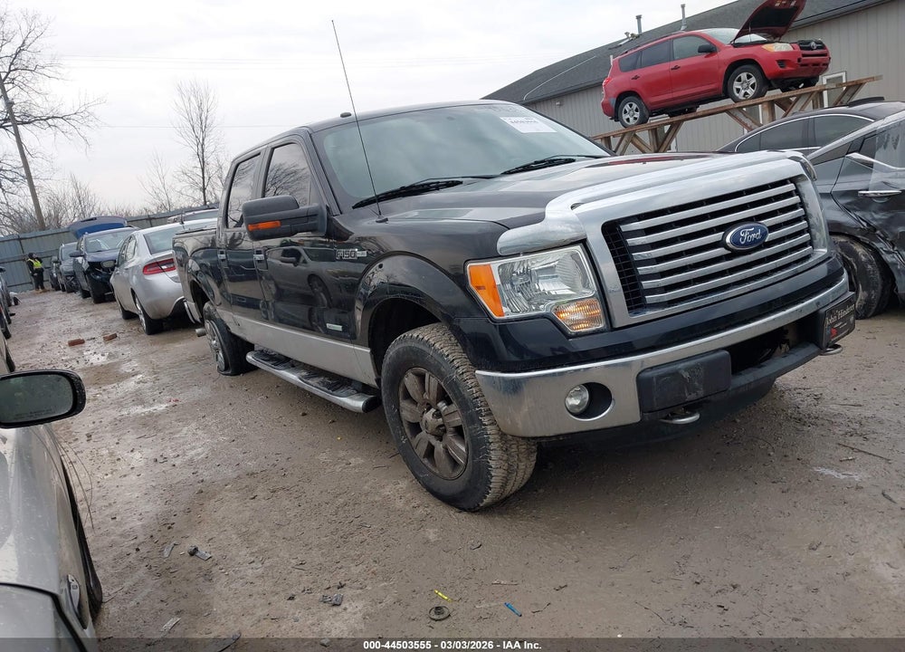 2011 FORD F-150 XLT VIN: 1FTFW1ET1BFD06464