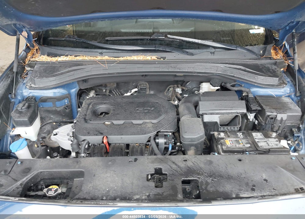 2020 HYUNDAI SANTA FE SE VIN: 5NMS2CAD9LH299675