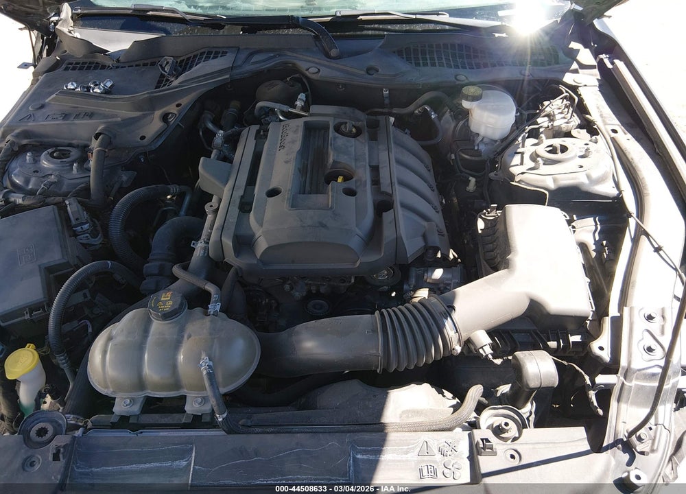 2019 FORD MUSTANG ECOBOOST PREMIUM VIN: 1FA6P8TH3K5102331
