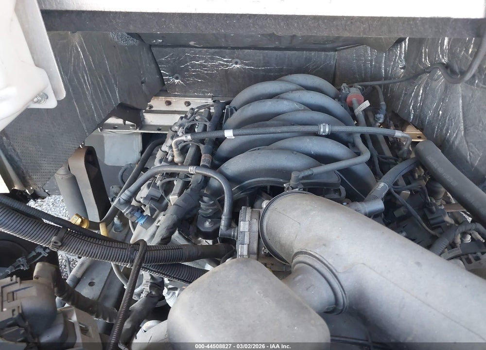2021 FORD F-59 COMMERCIAL STRIPPED VIN: 1F65F5KN6M0A07313