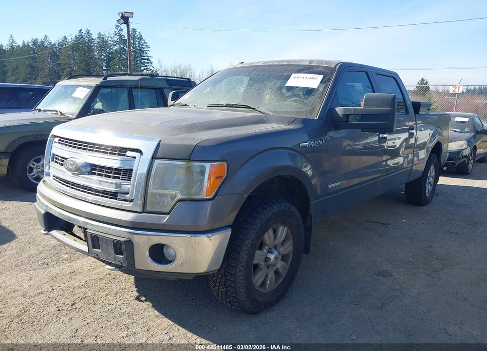 2013 FORD F-150 XLT VIN: 1FTFW1ET7DKE53687