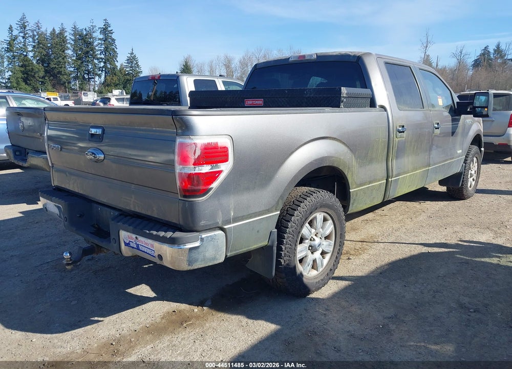 2013 FORD F-150 XLT VIN: 1FTFW1ET7DKE53687