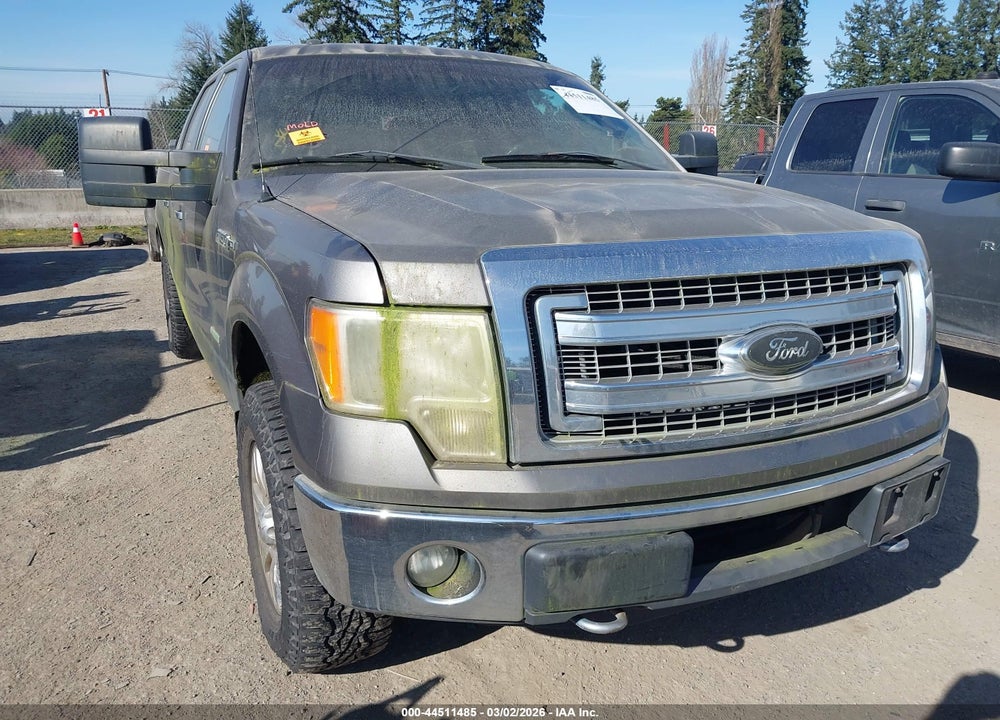 2013 FORD F-150 XLT VIN: 1FTFW1ET7DKE53687
