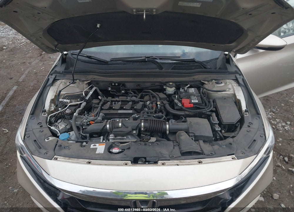 2019 HONDA ACCORD EX-L VIN: 1HGCV1F55KA138767