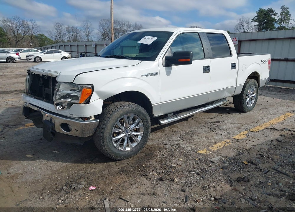 2011 FORD F-150 XLT VIN: 1FTFW1EF8BFB21354