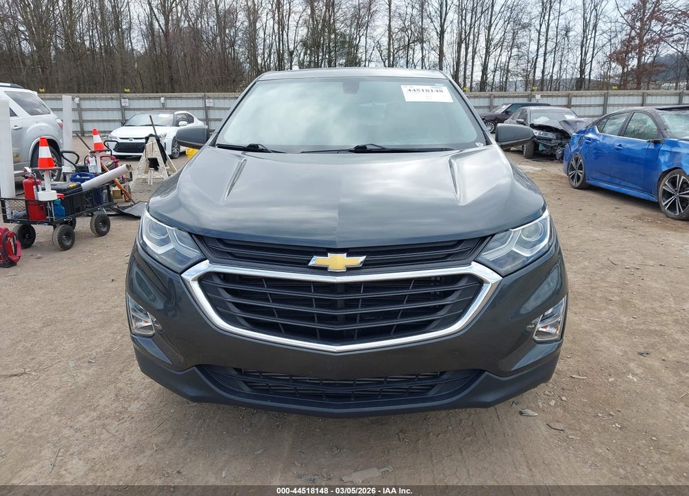 2019 CHEVROLET EQUINOX LS VIN: 3GNAXHEV0KS677488
