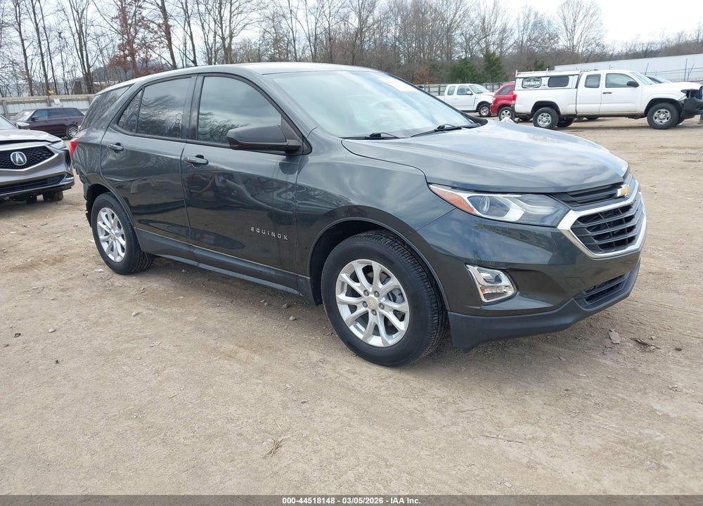 2019 CHEVROLET EQUINOX LS VIN: 3GNAXHEV0KS677488