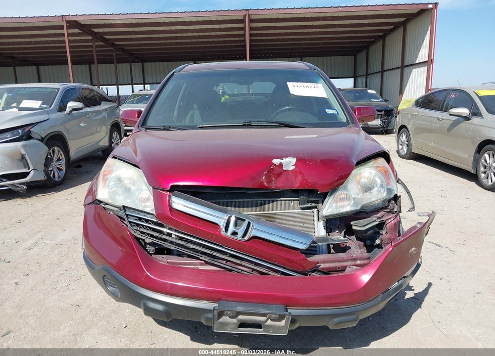 2009 HONDA CR-V EX-L VIN: 5J6RE38719L023904