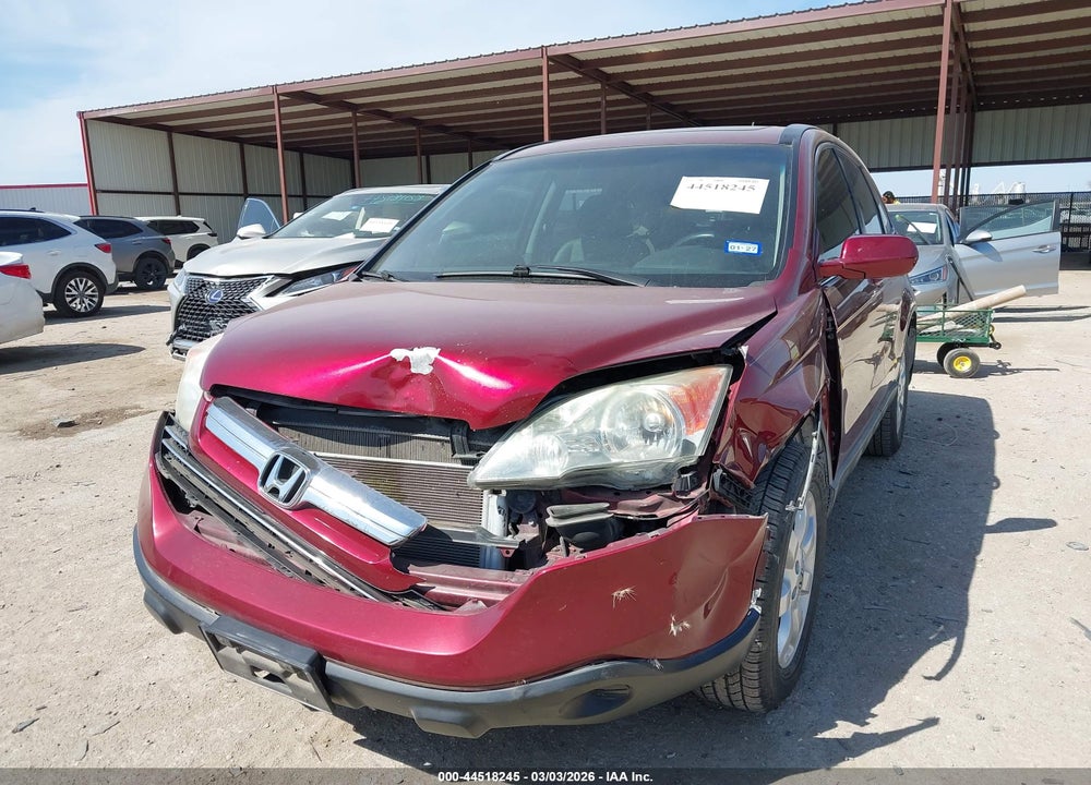 2009 HONDA CR-V EX-L VIN: 5J6RE38719L023904